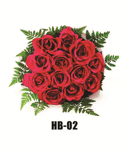 HB-02